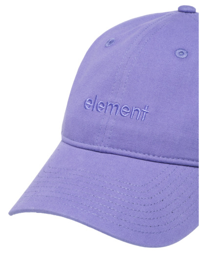 Fluky 3.0 - Dad Cap for Men  ELYHA00189