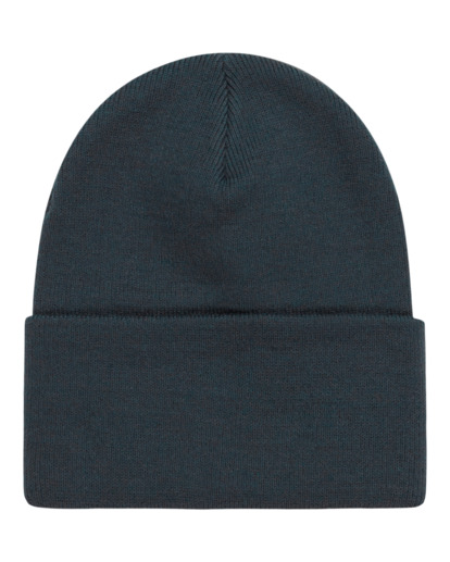 Dusk 3.0 - Cuff Beanie for Men  ELYHA00208