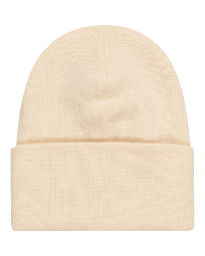 Dusk 3.0 - Cuff Beanie for Men  ELYHA00208