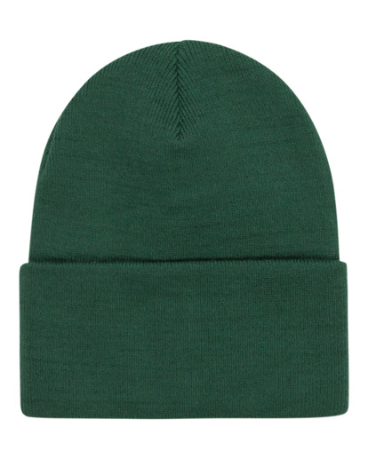 Dusk 3.0 - Cuff Beanie for Men  ELYHA00208