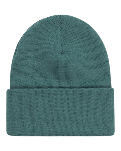 Dusk Classic - Cuff Beanie for Men  ELYHA00209