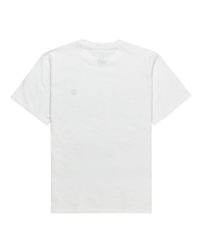 Crail  ELYKT00119