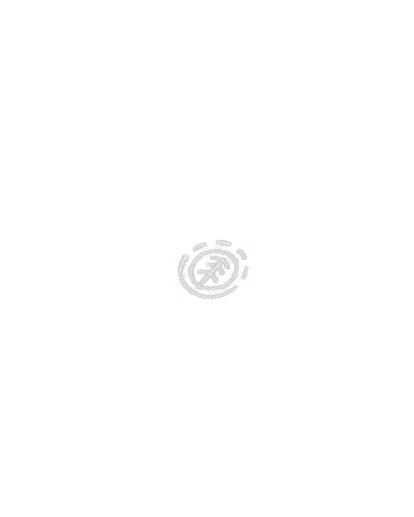 Icon Embroidery  ELYKT00168