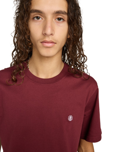 element, Icon Embroidery - Short Sleeve T-Shirt for Men, ZINFANDEL (rss0) Icon Embroidery - Short Sleeve T-Shirt for Men  ELYKT00168