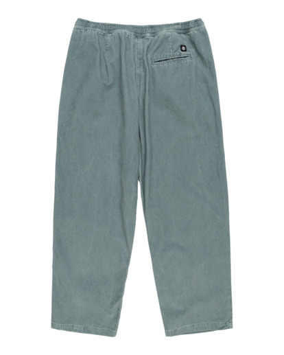 Chillin  - Hiking Pant for Men  ELYNP00154