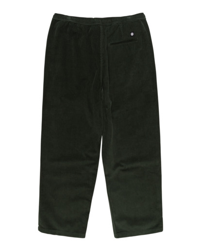 Chillin  - Hiking Pant for Men  ELYNP00154