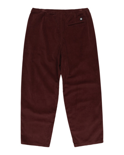 Chillin  - Hiking Pant for Men  ELYNP00154