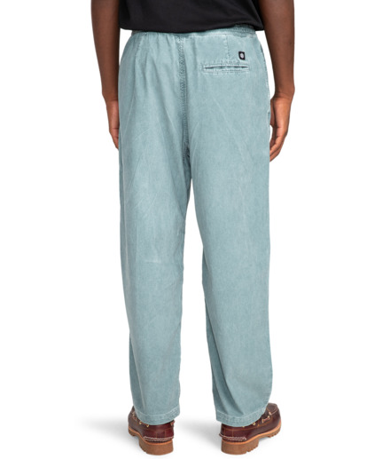 Chillin  - Hiking Pant for Men  ELYNP00154