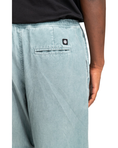 Chillin  - Hiking Pant for Men  ELYNP00154