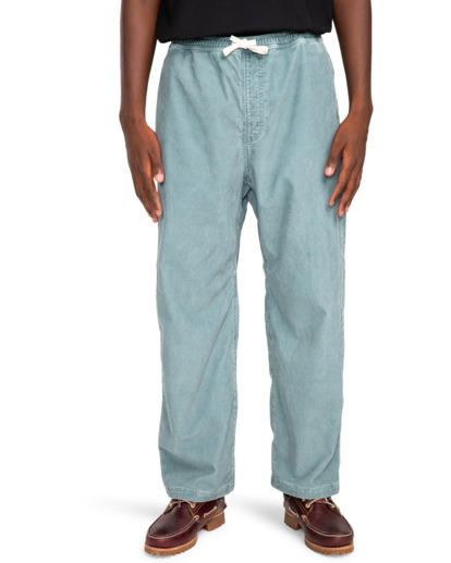 Chillin  - Hiking Pant for Men  ELYNP00154