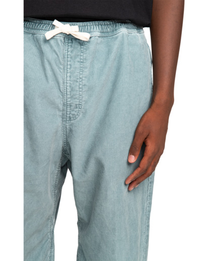 Chillin  - Hiking Pant for Men  ELYNP00154