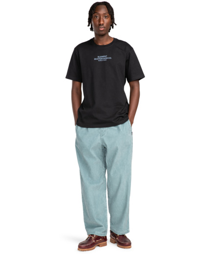 Chillin  - Hiking Pant for Men  ELYNP00154