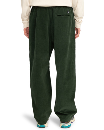 Chillin  - Hiking Pant for Men  ELYNP00154