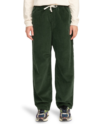 Chillin  - Hiking Pant for Men  ELYNP00154