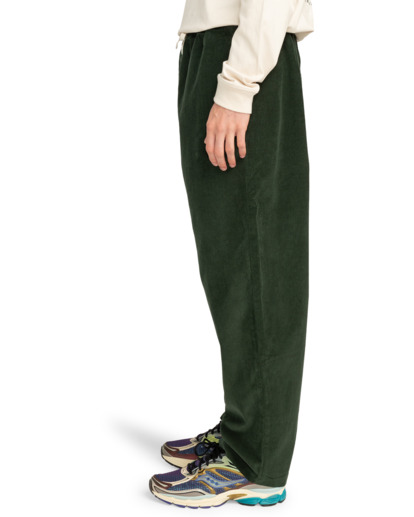 Chillin  - Hiking Pant for Men  ELYNP00154