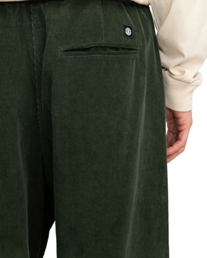 Chillin  - Hiking Pant for Men  ELYNP00154