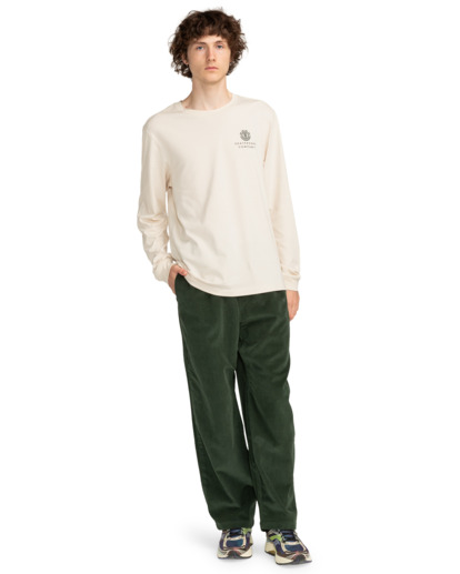 Chillin  - Hiking Pant for Men  ELYNP00154