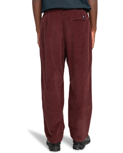 Chillin  - Hiking Pant for Men  ELYNP00154