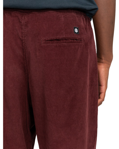 Chillin  - Hiking Pant for Men  ELYNP00154