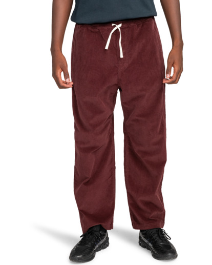 Chillin  - Hiking Pant for Men  ELYNP00154