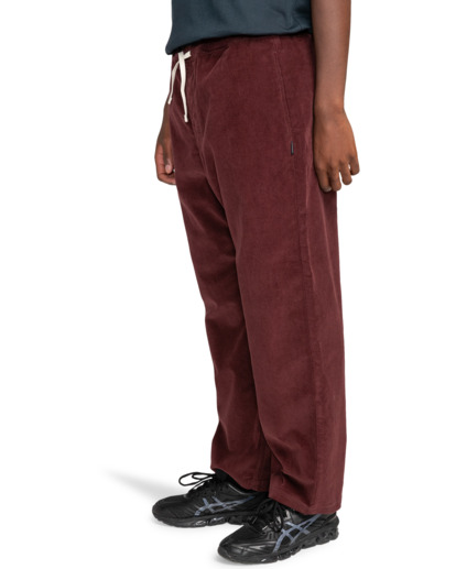 Chillin  - Hiking Pant for Men  ELYNP00154