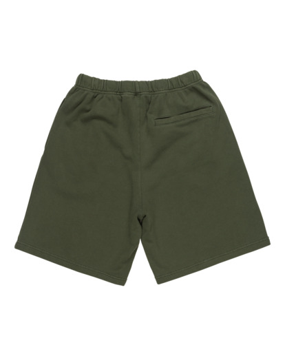 Cornell 3.0 - Elastic Waist Shorts for Men  ELYNS03003