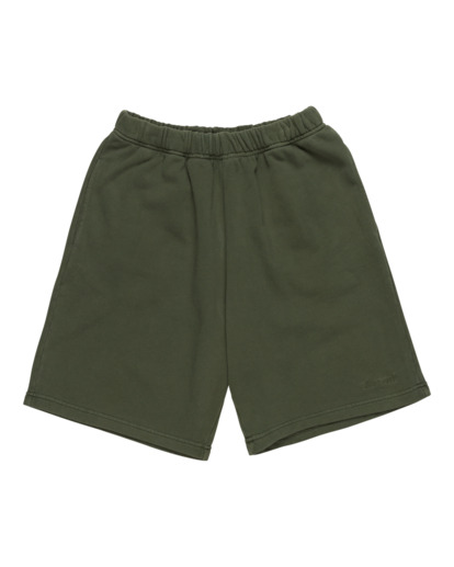 Cornell 3.0 - Elastic Waist Shorts for Men  ELYNS03003