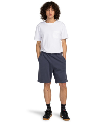 Cornell 3.0 - Elastic Waist Shorts for Men  ELYNS03003