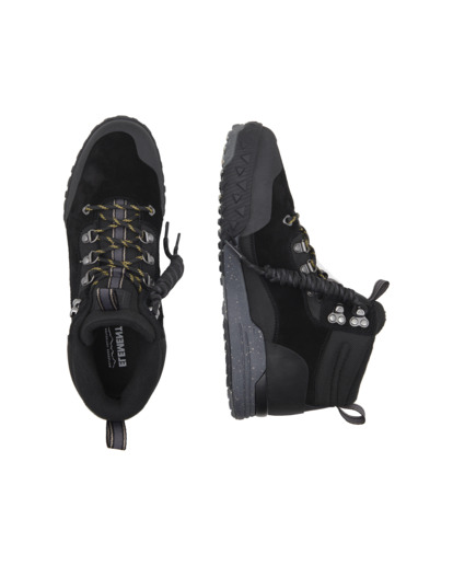 Donnelly W  ELYS300036