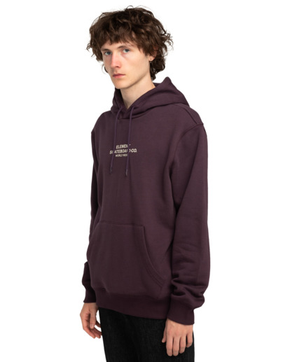 Skateboard Co - Pullover Hoodie for Men  ELYSF00233