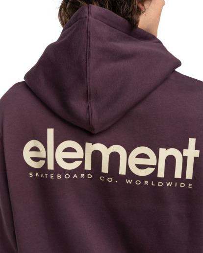 Simple Logo - Pullover Hoodie for Men  ELYSF00234