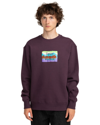 From Here - Pullover Sweatshirt for Men  ELYSF00238