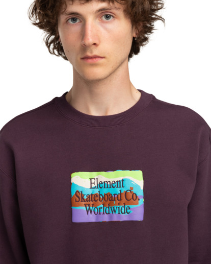 From Here - Pullover Sweatshirt for Men  ELYSF00238