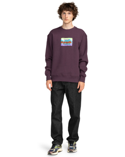 From Here - Pullover Sweatshirt for Men  ELYSF00238