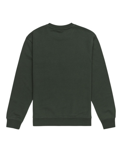 Flock - Pullover Sweatshirt for Men  ELYSF00252