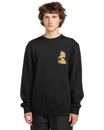 Birds Eye - Pullover Sweatshirt for Men  ELYSF00253