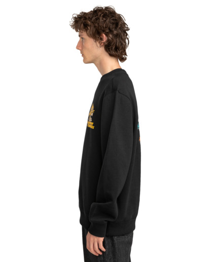 Birds Eye - Pullover Sweatshirt for Men  ELYSF00253