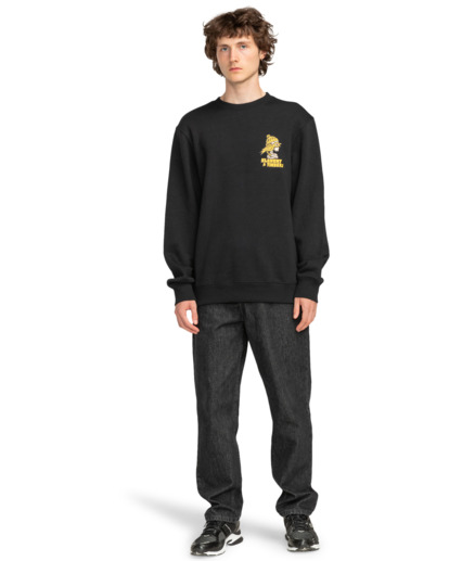 Birds Eye - Pullover Sweatshirt for Men  ELYSF00253