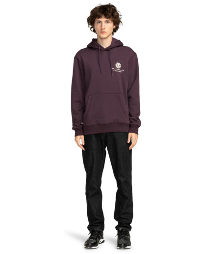 Halo - Pullover Hoodie for Men  ELYSF00258