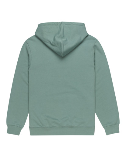 Skateboard Co - Pullover Hoodie for Men  ELYSF00266