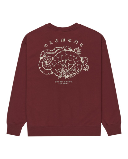 Aligator Cr - Sweatshirt for Men  ELYSF00304