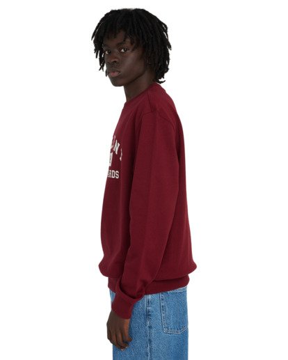 Home Team - Sweatshirt for Men  ELYSF00332