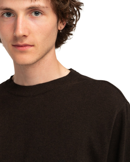 Cornell Classic  - Crew Neck Sweater for Men  ELYSW00115