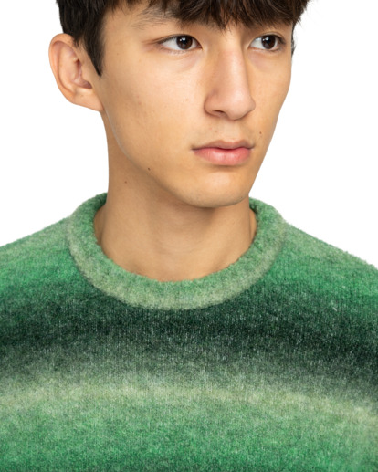 element, Shoreton Cr - Crew Neck Jumper for Men, PINE GREEN (gpr0) Shoreton Cr - Crew Neck Jumper for Men  ELYSW00122