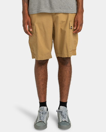 Legion - Cargo Shorts for Men  ELYWS00103