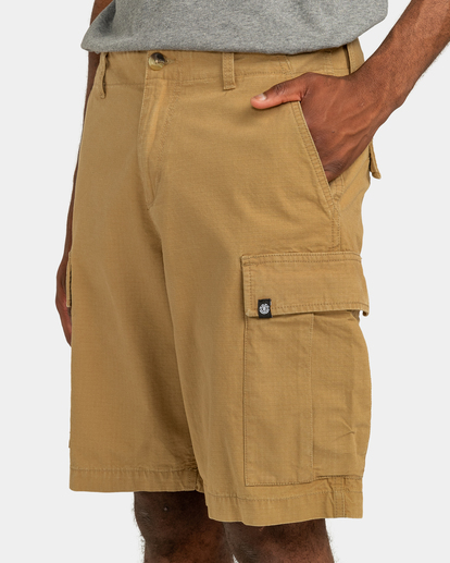 Legion - Cargo Shorts for Men  ELYWS00103