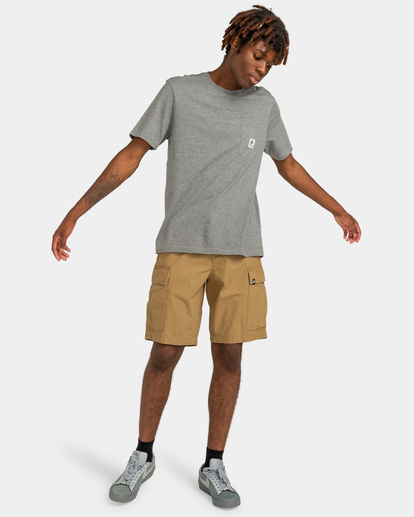 Legion - Cargo Shorts for Men  ELYWS00103