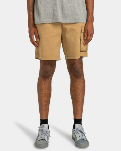 Pull Up Travel - Hiking Shorts for Men  ELYWS00109