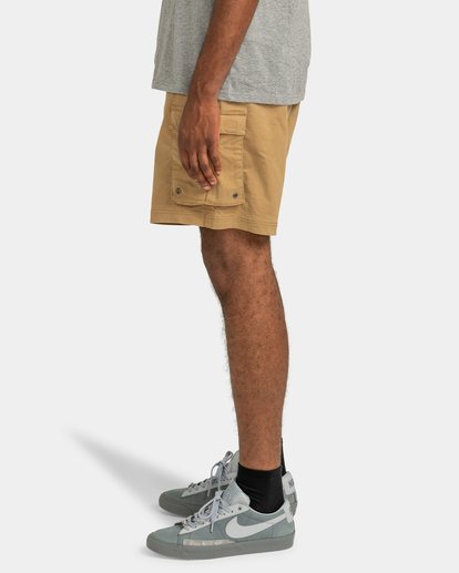 Pull Up Travel - Hiking Shorts for Men  ELYWS00109