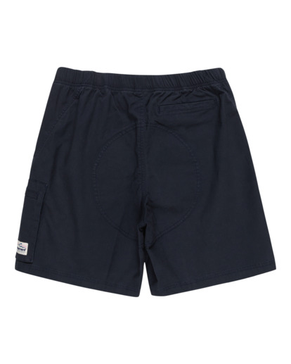 Chillin Travel 19" - Technical Walk Shorts for Men  ELYWS00131